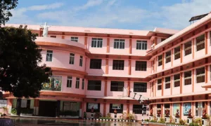 Schools in Kochi