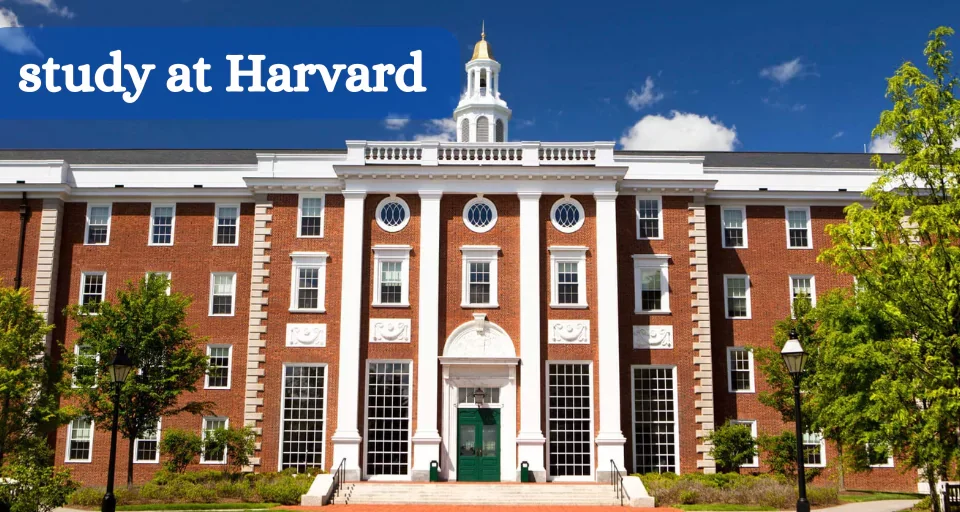 study at Harvard