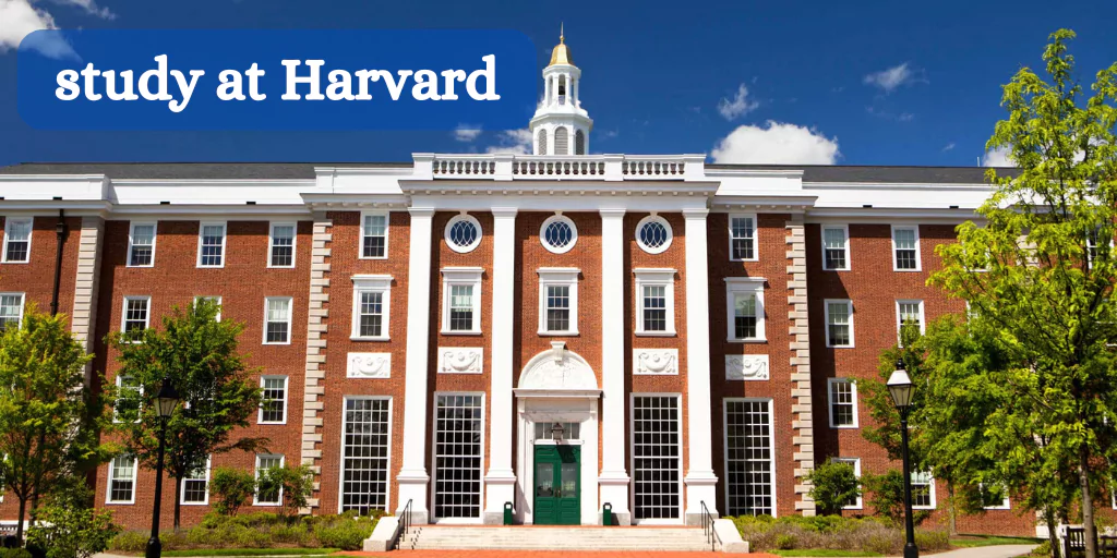 study at Harvard