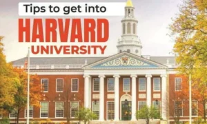 study at Harvard