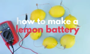 The Lemon Battery, science fair projects