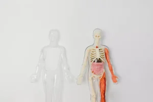 Immune and Lymphatic Systems