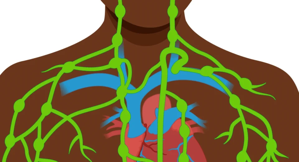 What is the lymphatic system and how is lymph formed