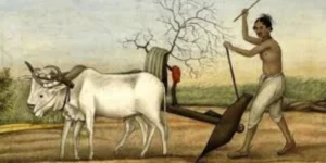 Economic Prosperity Under the Mauryas