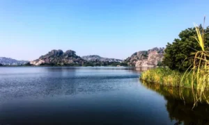 Kakatiyas transformed agriculture