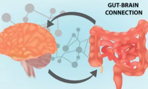 The Gut-Brain Connection