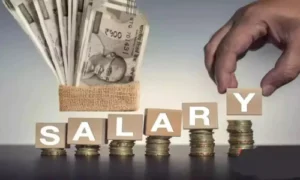 Salary Details