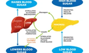Glucose Storage