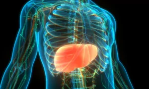 Your Body's Blood Sugar