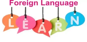 Foreign Language Courses (e.g., French, German, Japanese)