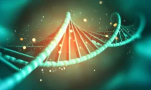 B.Sc. in Biotechnology / Microbiology / Genetics, medical courses after 12th