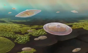 The First Life Appears