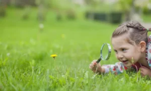 Curiosity & Independent Learning