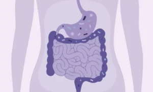 Digestive Enzymes Promote Gut Health