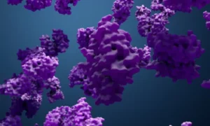 Enzyme Deficiency Leads to Intolerance
