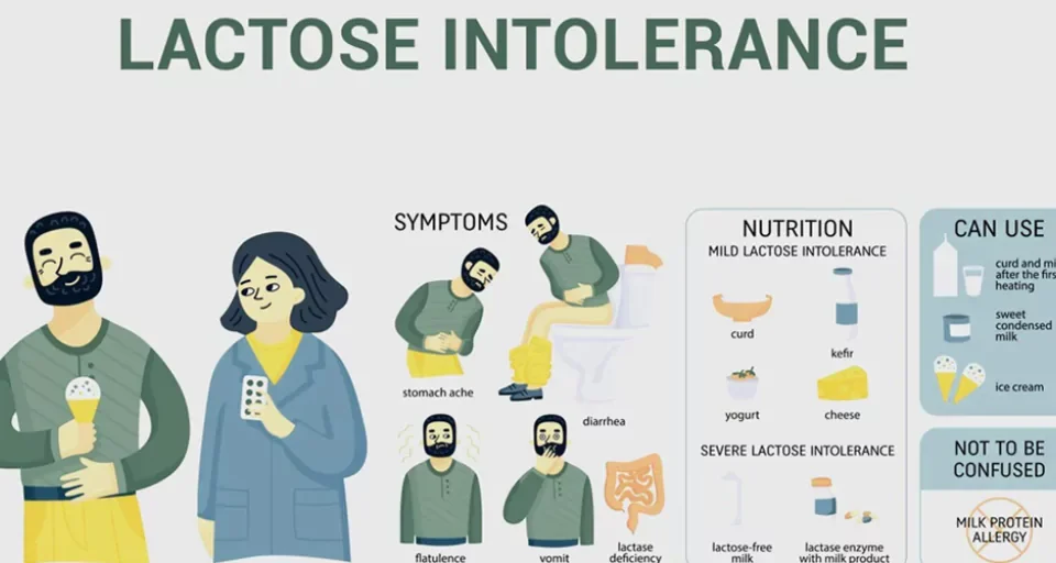 How are lactose intolerance and enzymes connected