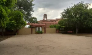 Vasant Valley School, Vasant Kunj