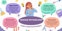 Enzymes: Biological Catalysts and Their Role in Cells