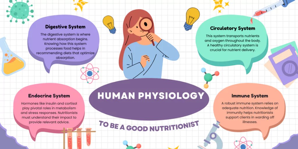 Human Physiology: Functions, Systems & Importance