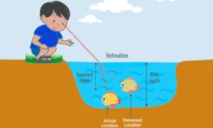Principles of Refraction