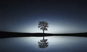 Real-Life Applications of Reflection