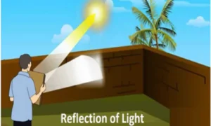 Reflection of Light