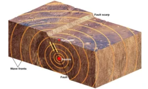 Role of Seismic Waves