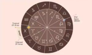 Sidereal Zodiac in Vedic Astrology