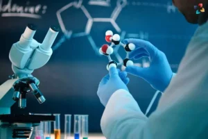 Key Techniques in Molecular Biology