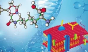 Applications of Molecular Biology
