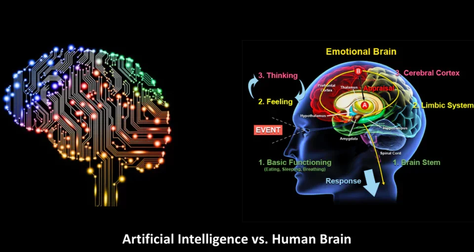 Artificial Intelligence vs Human Brain