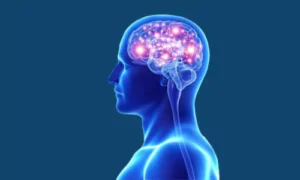 Causes of Brain Disorders