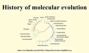 History and Evolution of Molecular Biology