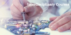 Interdisciplinary Courses