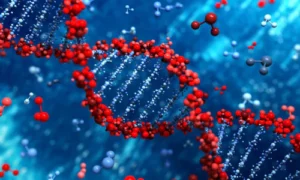 What is molecular biology