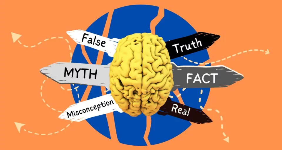 Myths About the Brain