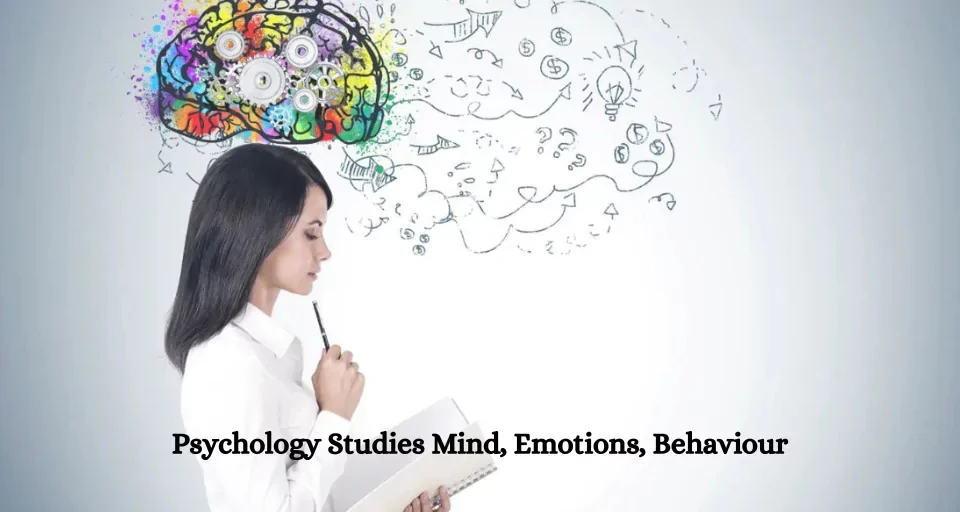 Psychology Studies Mind, Emotions, Behaviour