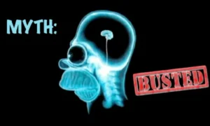 Why Busting Brain Myths Matters