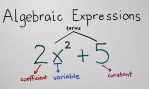 Algebraic Expressions