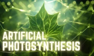 What is artificial photosynthesis