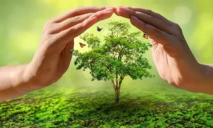 Simple Ways to Save Natural Resources