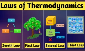 The Four Laws of Thermodynamics