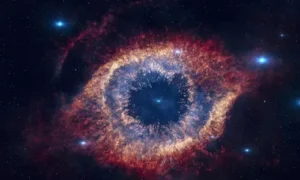 What Makes Astrophysics Vital?