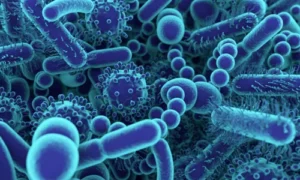 Harmful Microorganisms