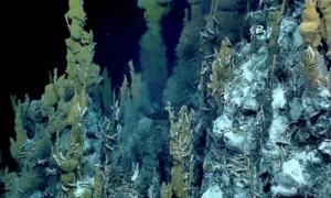 Hydrothermal Vents: Alien Ecosystems