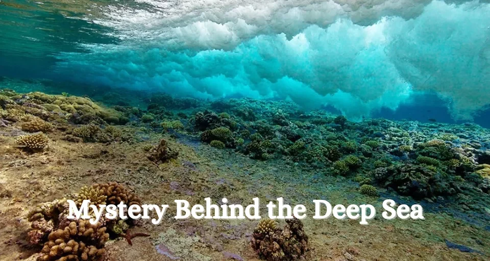 Mystery Behind the Deep Sea