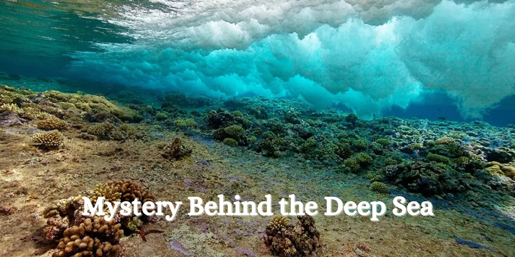 Mystery Behind the Deep Sea