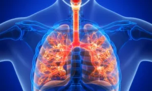 Respiration: The Energy Release Process