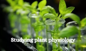 importance of studying plant physiology