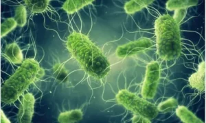 What are microorganisms?